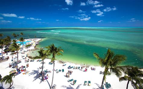 postcard inn beach resort  marina hotel review islamorada florida