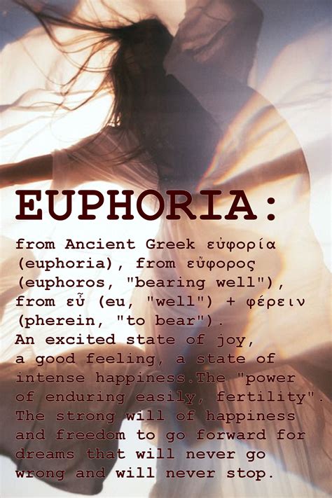 quotes  euphoria quotesgram