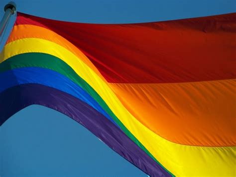 David Dust Gay Pride The Rainbow Flag