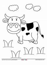 Cow Coloring Worksheet Pages Kindergarten Downloaded Pdf sketch template