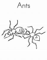 Ant Ants Insect Bestcoloringpagesforkids Noodle sketch template