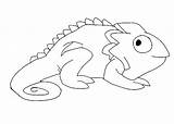Chameleon Coloring Drawing Pages Color Pascal Tangled Print Tocolor sketch template