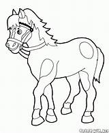 Horse Coloring Walks Zealous Pages sketch template