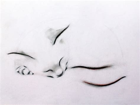 sleeping cat tattoo    home tattoo designs