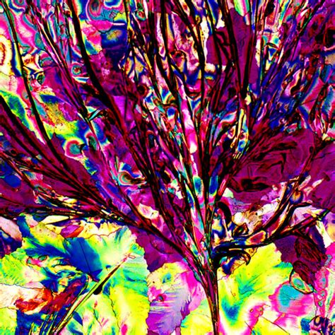 a few popular alcoholic drinks under a microscope 40 pics