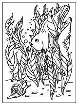 Coloring Pages Intermediate Sheets Fish Colouring Freecoloringpages Getcolorings Julia sketch template