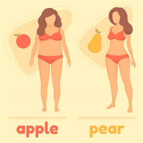cartoon of fat lady in swimsuit illustrations royalty free vector