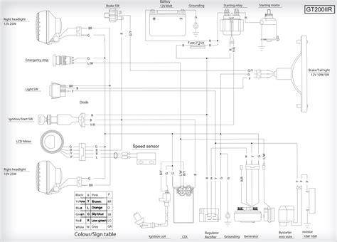 hammerhead  kart wiring diagram wiring diagram