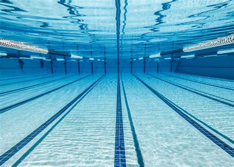 image gallery piscina olimpica