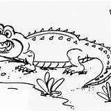 Crocodile Stunning sketch template
