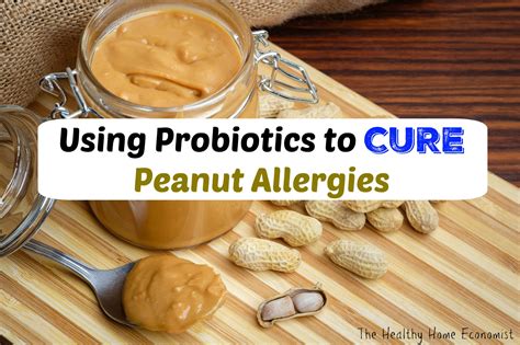 peanut allergies  cured scientists    probiotics