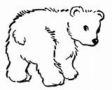 Bear Coloring Pages Baby Printable Outline Coloringme Cute Kids Sheets sketch template