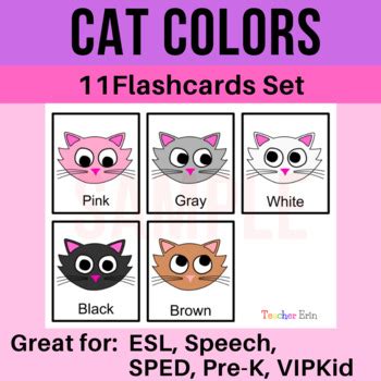 cat colors flashcards  vocabulary words esl speech sped color