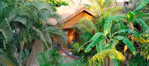 king garden cabana upstairs bananarama dive beach resort roatan