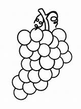 Grapes Weintraube Hrana Bojanke Uva Malvorlage Decu Malvorlagen Ausdrucken Slike Voca Bojanje Nazad Stencils sketch template