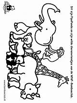 Dieren Wilde Giraf Olifant Coloring Kleurplaat Neushoorn Ausmalbild Malvorlagen Wnf Titanic Karneval Bron Titel Bestelcode Coloringpages1001 sketch template