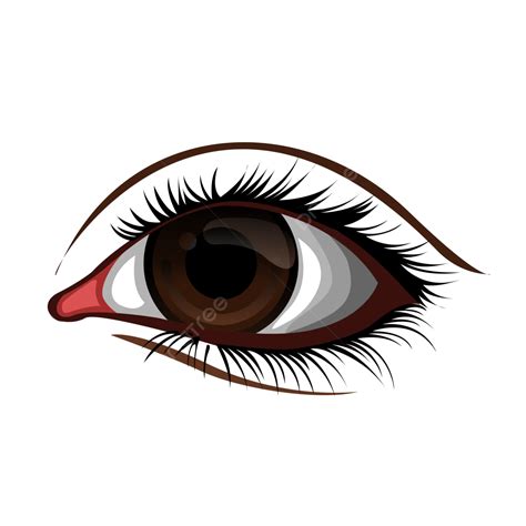 eye illustration vector  eye eye  eye png  vector