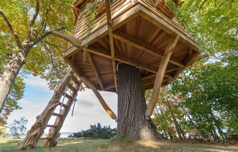 timber frame treehouse apex creations