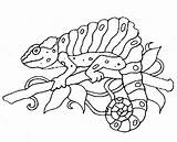 Coloring Pages Animals Zoo Kids Chameleon Forest Rainforest Animal Printable 1405 Color Clipart Popular Drawing Library Templates sketch template