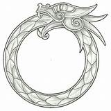 Jormungandr Tattoo Ouroboros Celtic Snake Viking Tattoos Dragon Norse Designs Visit Drawing Search Google Tatouage sketch template