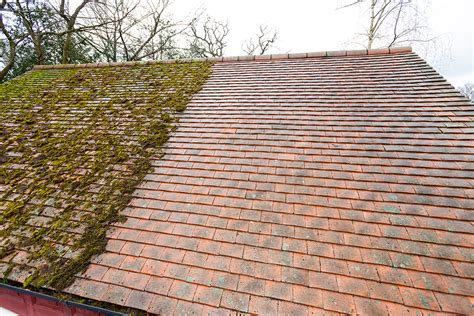 fascias  offering roof cleaning  moss removal services  kent  surrey homeowners