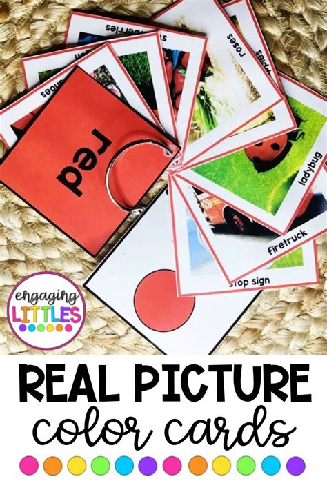 Color Sorting Cards Real Pictures Color Activities