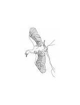 Cormorant Coloring Fly Ready Great sketch template