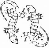 Coloring Lizard Gecko Pages Printable Kids Geckos Realistic Cute Frilled Drawing Template Color Sheets Desert Print Bestcoloringpagesforkids Getcolorings Preschool Animal sketch template