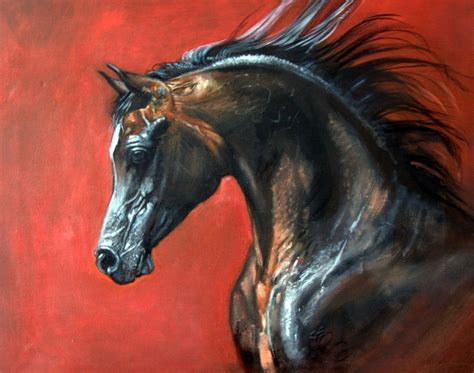 beautiful shiny black stallion  wild mane wouldnt  horse