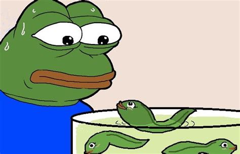 magic   internet funny animal memes frog meme frog