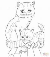Colorare Mamma Gatta Kitten sketch template