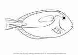 Tang Blue Draw Fish Drawing Coloring Pages Step Template Fishes Tutorials Drawingtutorials101 Sketch Tutorial Learn sketch template