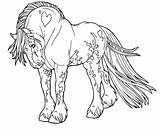 Vanner Coloring Horse Draft Gypsy Pages Getdrawings sketch template