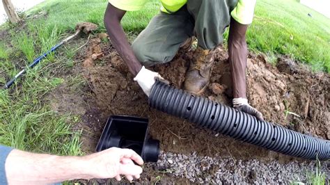 french drains    cesspits septic tank care