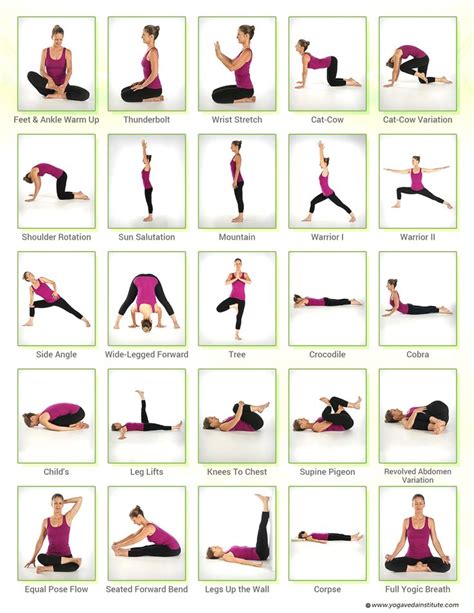 hatha yoga sequence  yogasequences ayurveda yoga hatha yoga