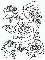 Rose Coloring Pages Print Flowers Flower Color Recommended sketch template