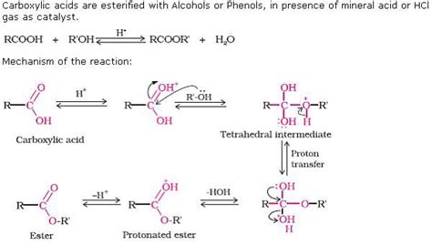 esterification reaction write  mechanism isxhbb chemistry topperlearningcom