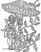 Coloring Pages Forest Kelp Getcolorings Adults Zentangles Fairy sketch template