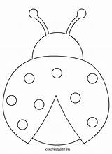 Ladybug Outline Coloring Clipart Preschool Crafts Kids Felt Pages Wikiclipart sketch template