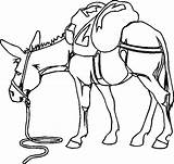 Cavalli Cavallo Mulo Stampare Mule Pferde Coloriage Soma Circo Megghy Clicca Sull Asino Colorier Kategorien Condividi sketch template