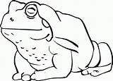 Toad Coloring Pages Frog Cartoon Toads Printable Color Clipart Kids Cliparts Outline American Library Coloringpages101 Categories sketch template