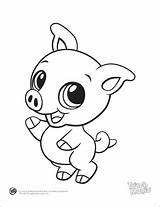 Coloring Pages Baby Animals Animal Cute Pig Print Color Printable Colouring Leapfrog Small Guinea Drawings Beluga Adults Clipart Adorable Drawing sketch template