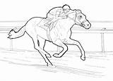 Horse Coloring Pages Herd Wild Getcolorings Good Horses sketch template