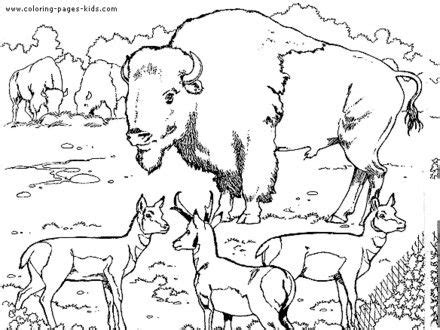 animal coloring pages   printables coloring pages