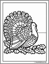 Coloring Thanksgiving Pages Adults Turkey Printable Color Pdf Fuzzy Acorns Leaves Print Cute Rainbow Colorwithfuzzy Oak Getcolorings Favorite sketch template