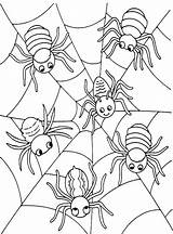 Coloring Spider Halloween Pages Printable Print Kids Color Getcolorings Spiders Animal Getdrawings Colorings sketch template