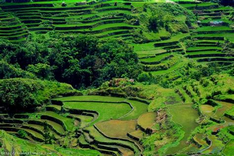 Banaue Rice Terraces Philippines Travel Innate