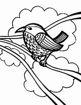 Bird Coloring Pages Robin Draw Color Seed Wires Eat Find Beautiful Kids sketch template