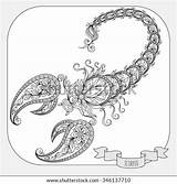 Scorpio Zentangle Doodle Horoscope Scorpion Henna Mehndi sketch template