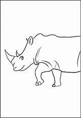 Nashorn Ausmalbilder Ausmalbild Malvorlage Tiere Tieren sketch template